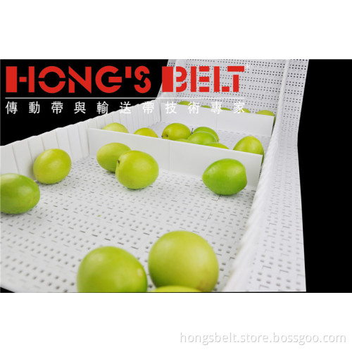 Fruit Industry Food Grade Plastic Modular Belt